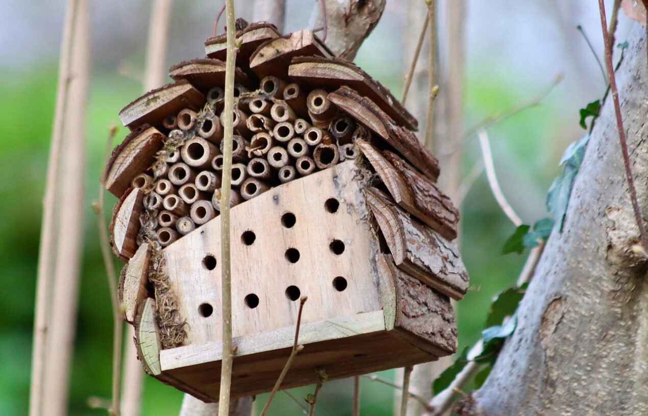Insectenhotels voor balkon en terras: bevorder biodiversiteit thuis