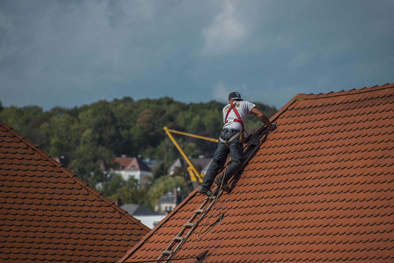 Oude dakpannen vormen tuinpaadjes mozaïek.