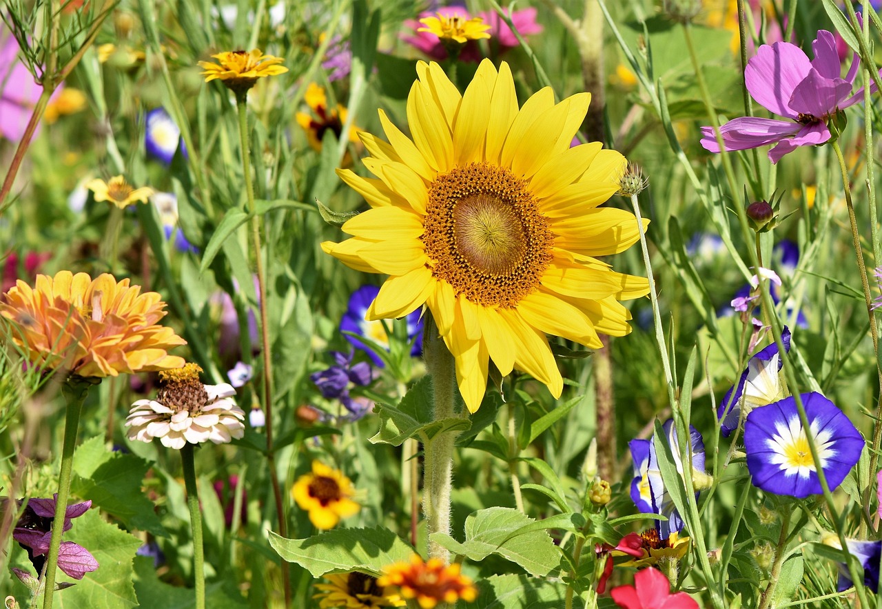 Knus tuinbankje omringd door bloemen en planten. Knus tuinbankje omringd door bloemen en planten.