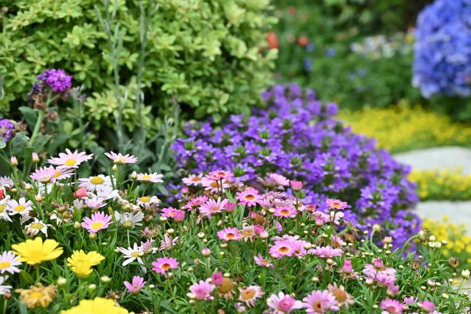 Waterbesparing in de tuin: maak gebruik van microdrip-irrigatie